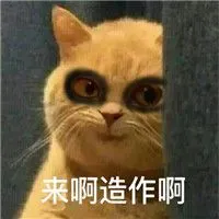 togel hongkong 2017 sampai 2018 Dan kamu Fuye dua! Fu Mei meraung dengan ekspresi muram.